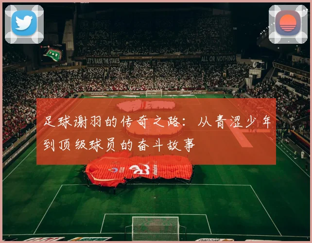足球谢羽的传奇之路：从青涩少年到顶级球员的奋斗故事