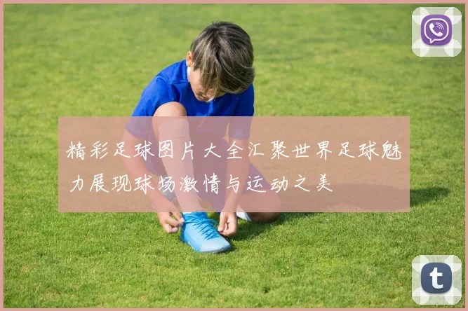 精彩足球图片大全汇聚世界足球魅力展现球场激情与运动之美