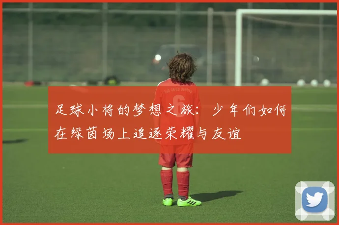 足球小将的梦想之旅：少年们如何在绿茵场上追逐荣耀与友谊