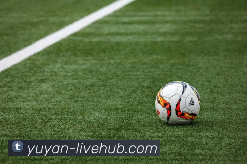 App Interface Preview