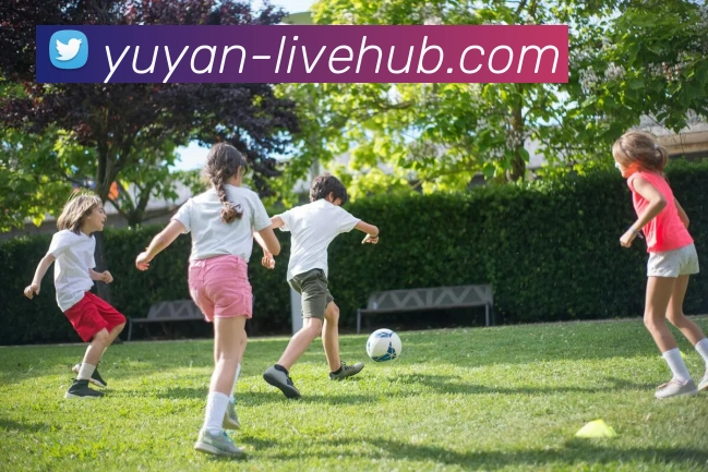 雨燕直播APP 封面图